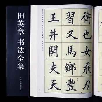 Çin Fırça Kaligrafi Tian Yingzhang Defterini AdultPractice Düzenli Komut Dosyası Kopyalama Kitap